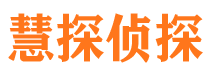 长武侦探公司